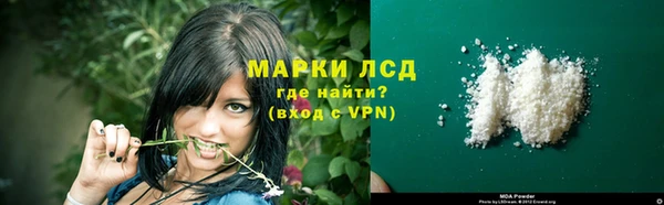 apvp Алзамай