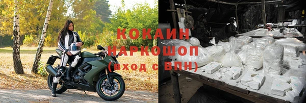 apvp Алзамай