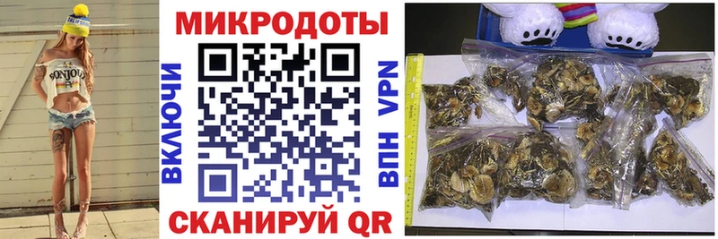 Псилоцибиновые грибы мухоморы  дарнет шоп  Ахтырский 